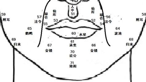 鼻孔面相|麦玲玲面相讲座之 鼻子 – 人相学